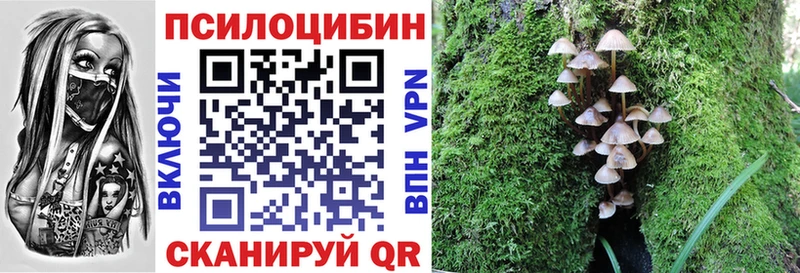 Купить закладки  Усть-Кут  Псилоцибиновые грибы MAGIC MUSHROOMS 